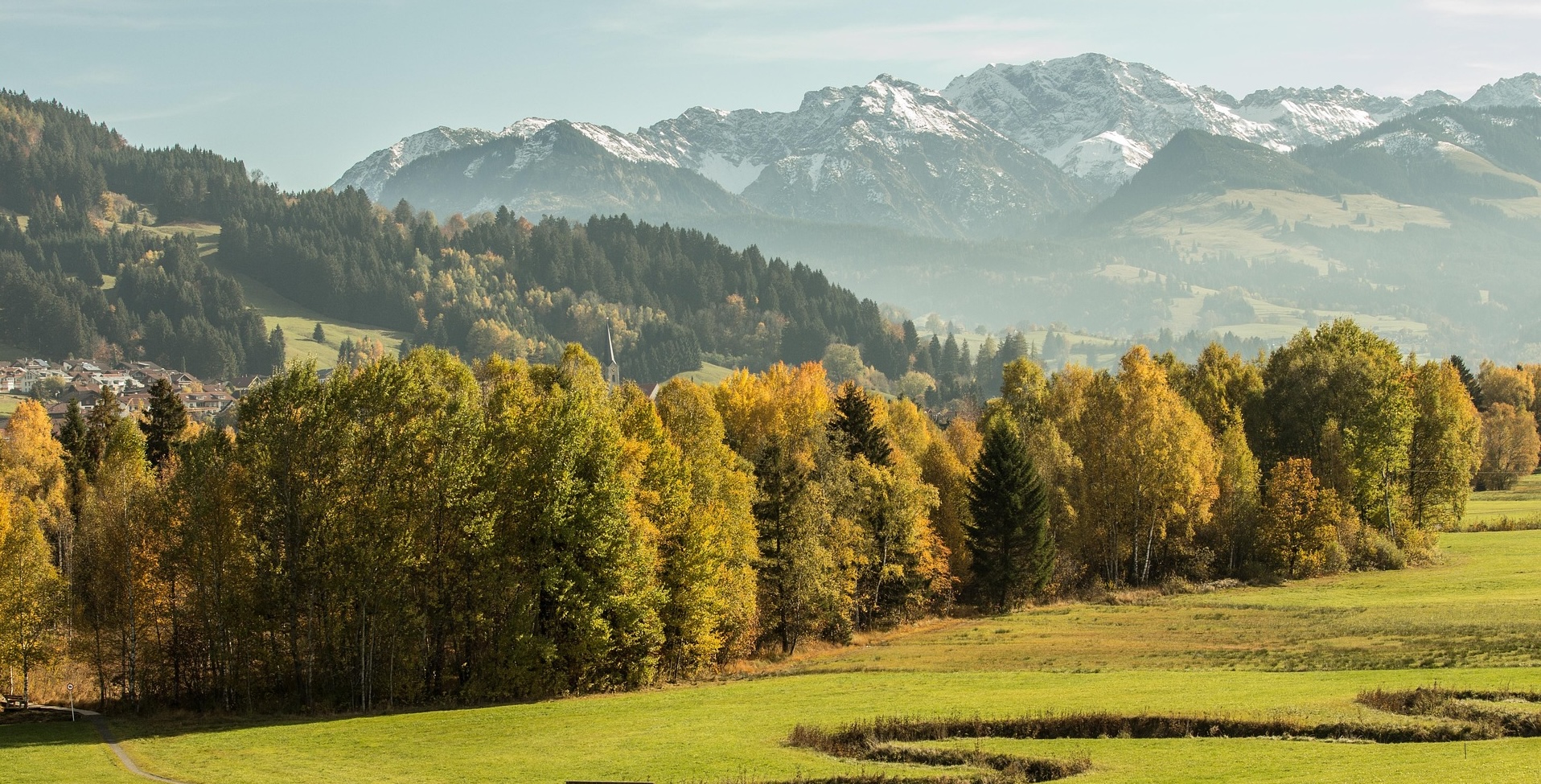 Bergwiese im Allgäu im warmen Abendlicht