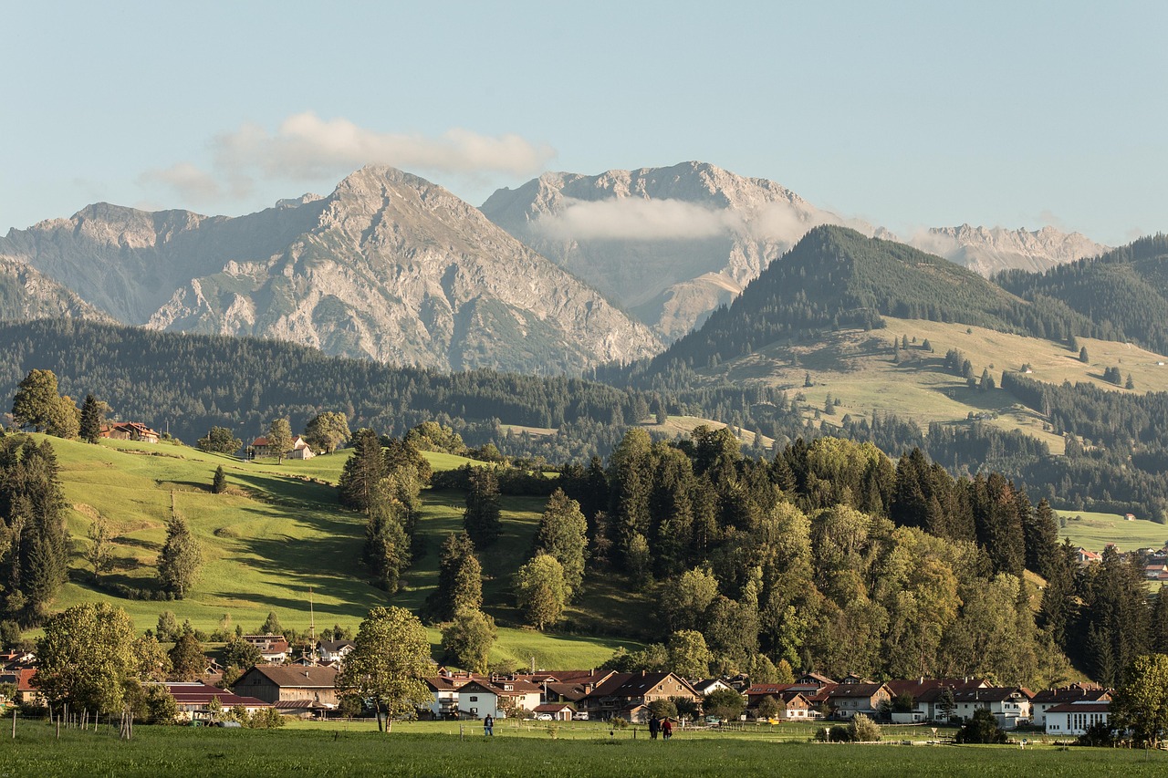 Blühende Bergwiese im Allgäuer Sommer
